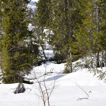 Сasa de vacaciones Gorgeous In With Kitchen