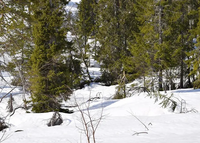 펜션 Gorgeous In With Kitchen